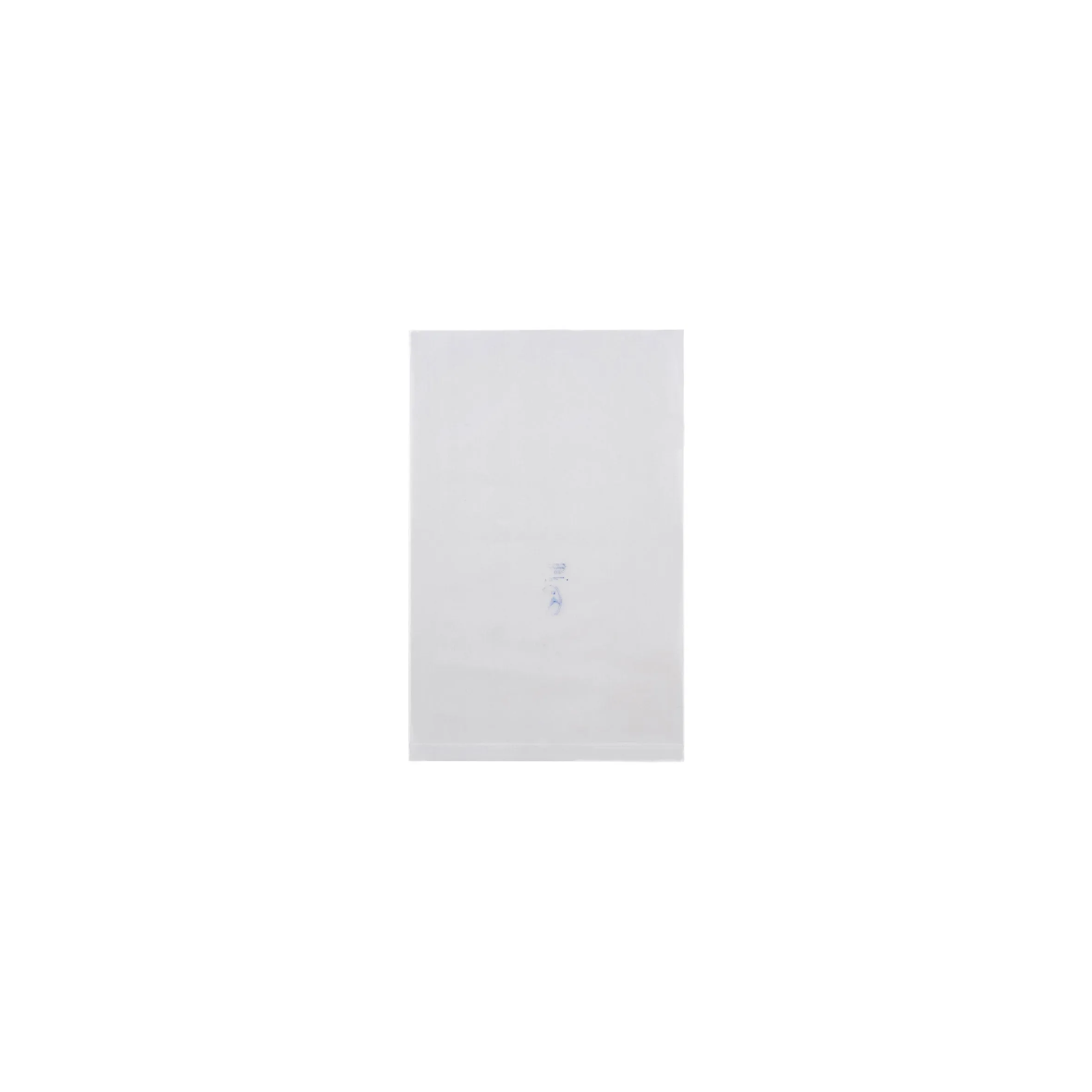TP Clear Packing Bag
